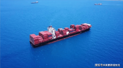 美国口岸引见｜萨瓦纳SAVANNAHGA海外仓拆柜