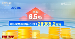 <b>初次冲破1万亿美元 立异高！数字清点2024年我国</b>