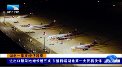 <b>东盟稳居湖北外贸榜首四年 双向奔赴催生合做新</b>